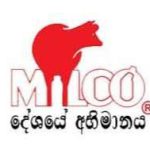 cctv sri lanka (8)